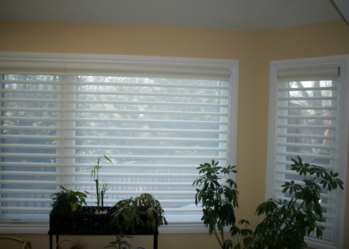 pirouette blinds